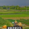 枫总、在忠 - 壮我大凉山 (DJ版)