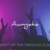 Thama Tee、P-Jay - Aw'ngeke