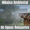 Relajacion Ambiental - Cataratas