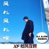 DJ阿金 - 天蚕变旋律