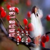 炫音飞歌、侯粤春 - 我有一颗红豆红 (伴奏)