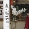 三妹 - 想你全年无休