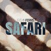 Brian Ferris - Safari (Radio Mix)
