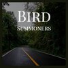 Dean Graham Wolfe - Bird Summoners