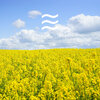 Relaxing Noises - Sleepful Relaxing Noise