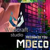 MDeco - I Recognise You