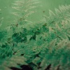 Gardens of God、Aparde - All About Now feat. Aparde