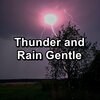 Sounds of Nature White Noise Sound Effects、Nature Spirit、Nature Recordings - Moderate Rain and Nature Sounds For Good Rest