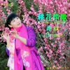 李红 - 桃花情歌
