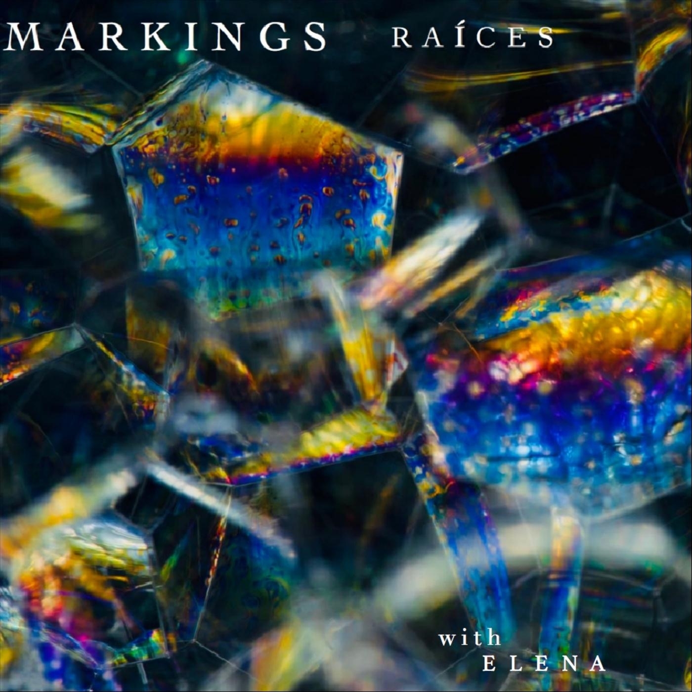 Markings、Elena - Raíces (feat. Elena)