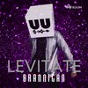 Brannigan - Levitate