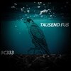 BC333 - Tausend Fuß (Explicit)