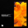 NIC、OneHeadApart - Younger (Rokston Remix)