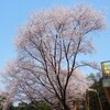 崔铭 - 爱我