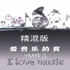 玲丫头儿 - 爱音乐的我 (精混版)(Live)