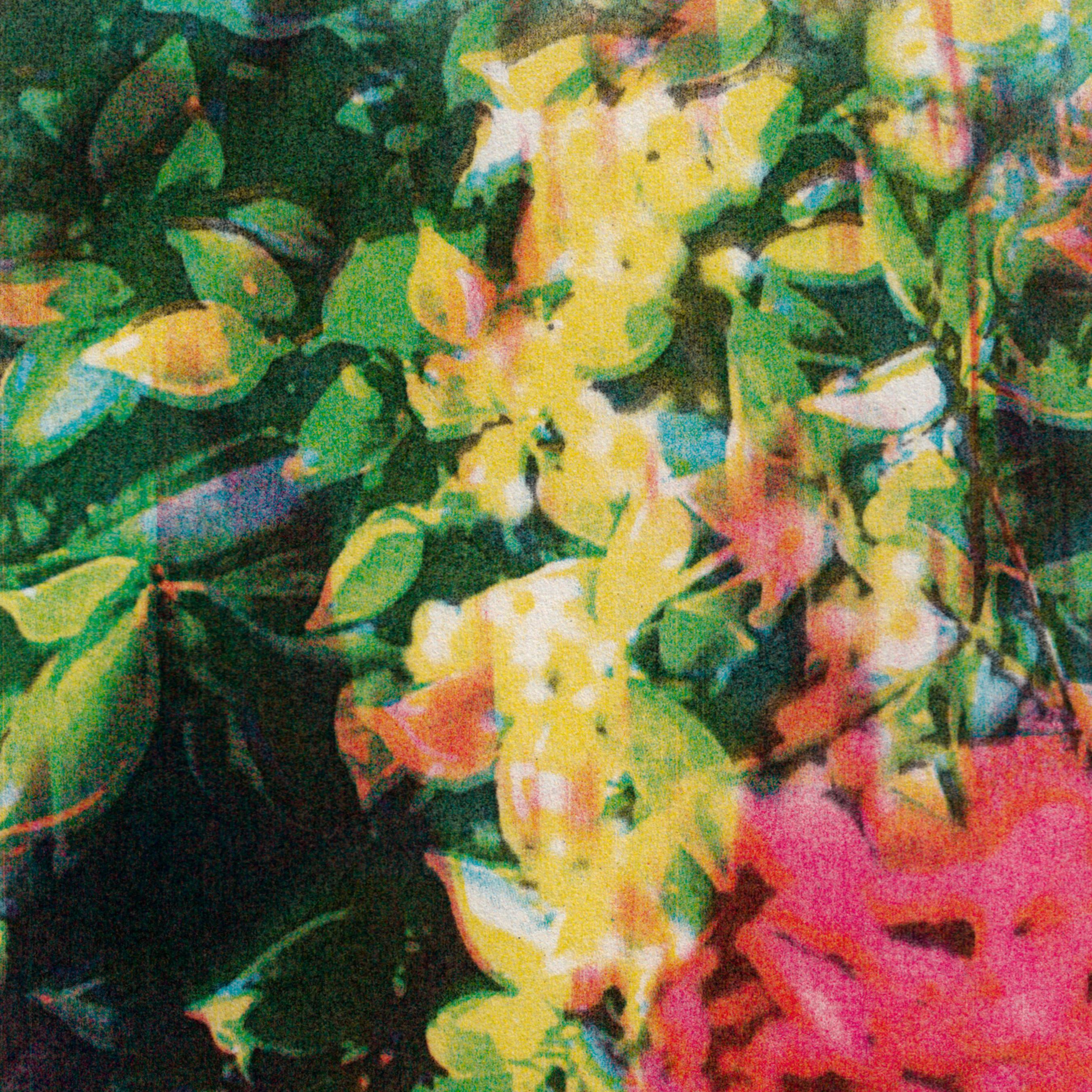 Amulets、More Eaze、Randall Taylor - The New Normal (feat. More Eaze)