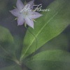 Georges Bizet、Oscar Hammerstein - Dis Flower