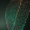 In Anima - XXY (Edit)