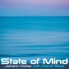 Johann Kotze、David Staal、Being Ambient Music《State of Mind, Pt. 2》[MP3/LRC]