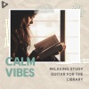 Calm Vibes《Warmth》[MP3/LRC]