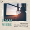 Calm Vibes《Summer Vibes》[MP3/LRC]