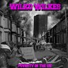 Wilko Wilkes - Poverty in the UK