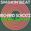 Richard Scholtz - Dry My Spinach (Original Mix)