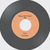 HAMO - Visions Of A Perfect Day