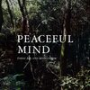 Fresh Air and Meditation - Tell Me What You See