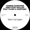 Stef Kalloo、Kahtana、Tommie Sunshine、Flush - Take It Up Again (Stef Kalloo Flush Kahtana)(feat. Flush & Kahtana)