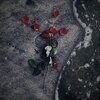 Peter Thomas - I'll Never Take A Rose
