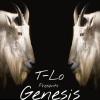 T-Lo - INTIMIDATION (Explicit)