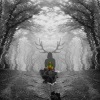 no mercy、Ankit Shetty - Inam