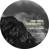 Tomin Tomovic - Silver Rain
