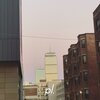 tezpu - patterns