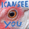Sophia Kennedy - I Can See You