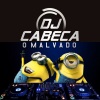 Mc Priscila、DJ CABEÇA O MALVADO、MC Gibi、Mc Orelha、Mc Pe de Pano - AS MELHORES DO BAILE DA VILA RUTH SJM (Explicit)