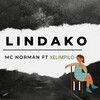 Xelimpilo、Mc Norman - Lindako