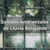 Relajaciones Ambientales - Ambiente Lluvioso