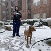 Lil Tommy - This N That (Explicit)