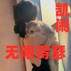 凯闹 - 无限得瑟