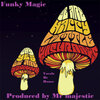 Mr Majestic - Funky Magic (Original Mix)
