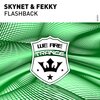 Skynet、Fekky‎‏ - Flashback (Extended Mix)