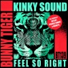Kinky Sound - Feel So Right (Original Mix)