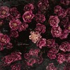 Kupla - Rose Garden