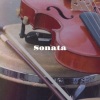 Bobby Cole - Acoustic Summer Moods