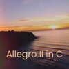 Baroquenoise - Allegro II in C