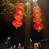 丽丽Lily - 新年大吉
