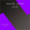 Walter Vooys - Love Is Fine