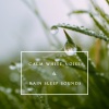 贵族音乐ASMR - ASMR舒眠的雨声